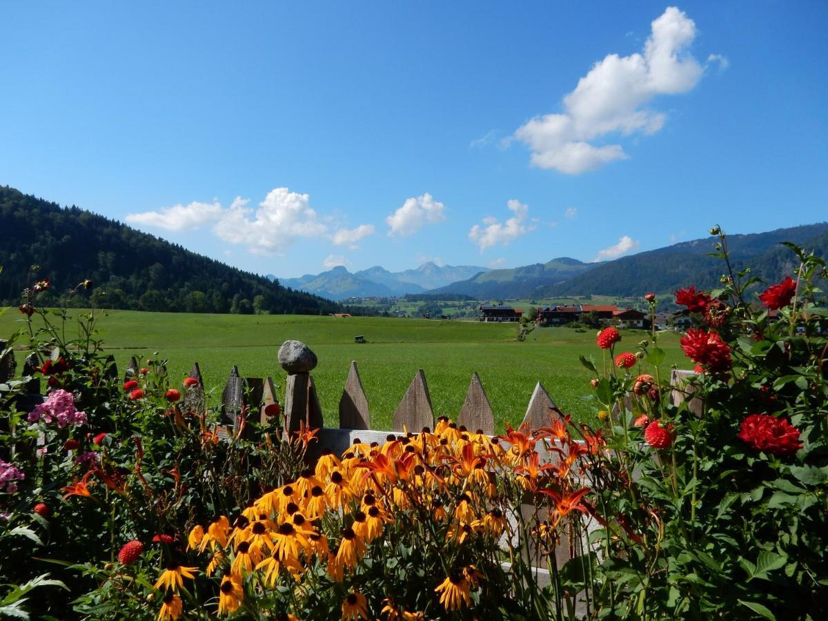 Gaestehaus Schoenfeld ไรท์อิมวิงเคอ ภายนอก รูปภาพ