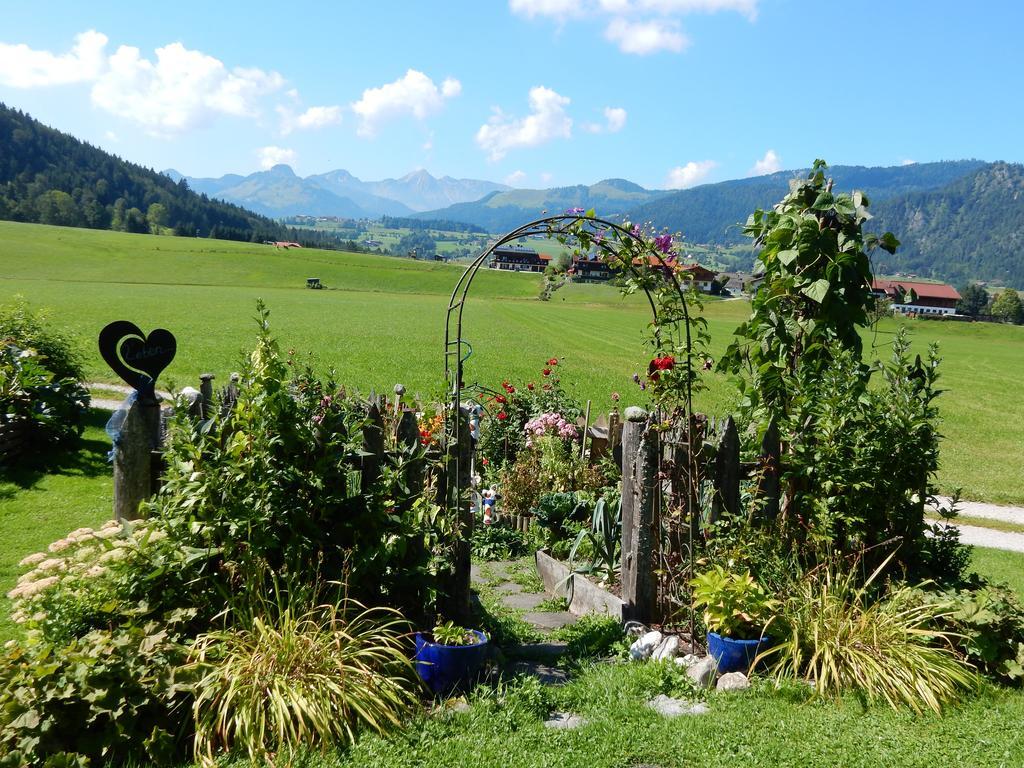 Gaestehaus Schoenfeld ไรท์อิมวิงเคอ ภายนอก รูปภาพ